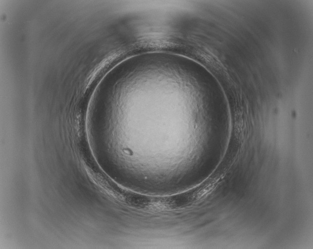 X0000057040111200509091116