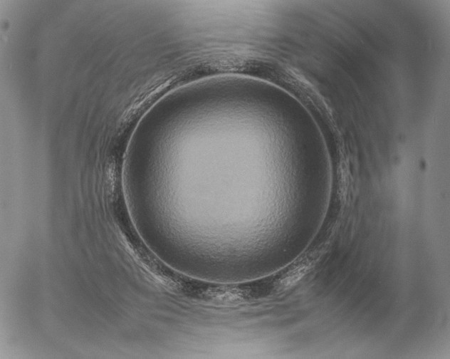 X0000057040113200509091116