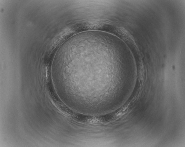 X0000057040115200509091116