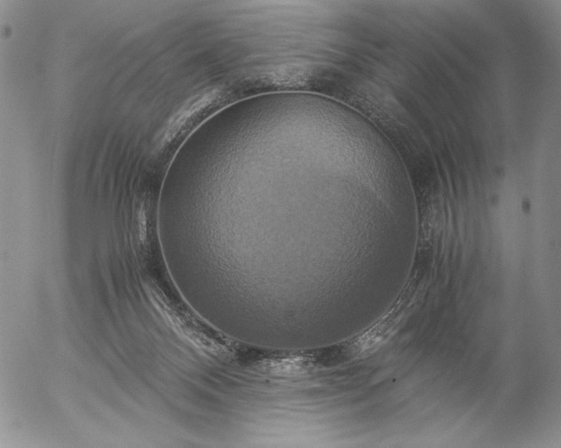 X0000057040120200509091116