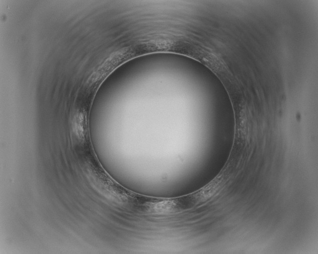 X0000057040122200509091116