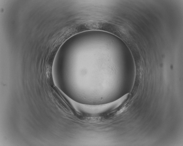 X0000057040125200509091116