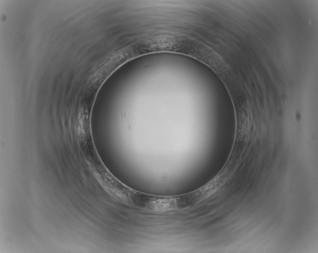 X0000057040126200509091116