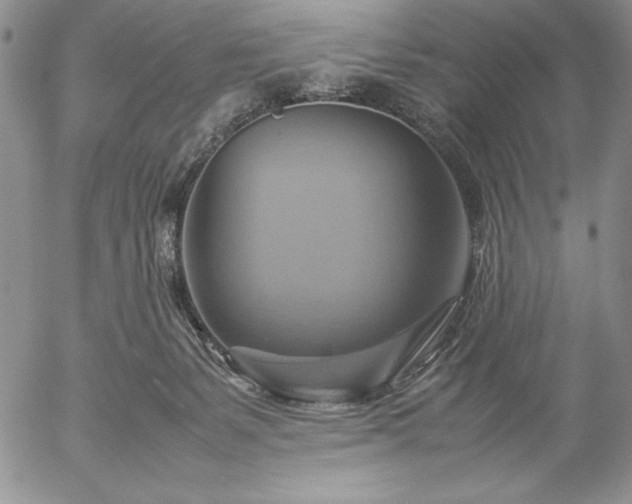 X0000057040127200509091116