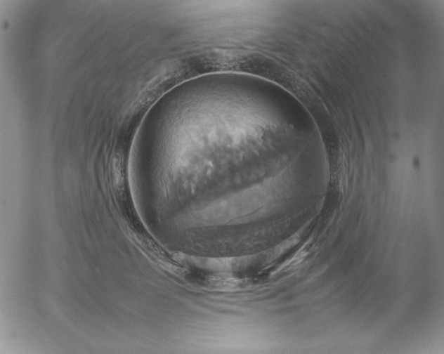 X0000057040131200509091116