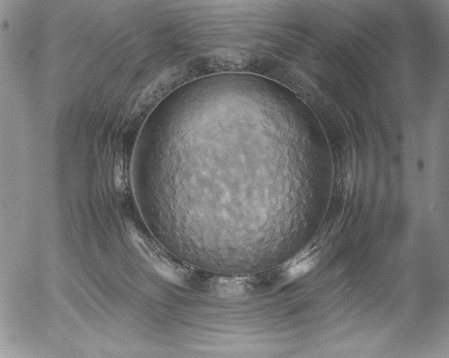 X0000057040134200509091116