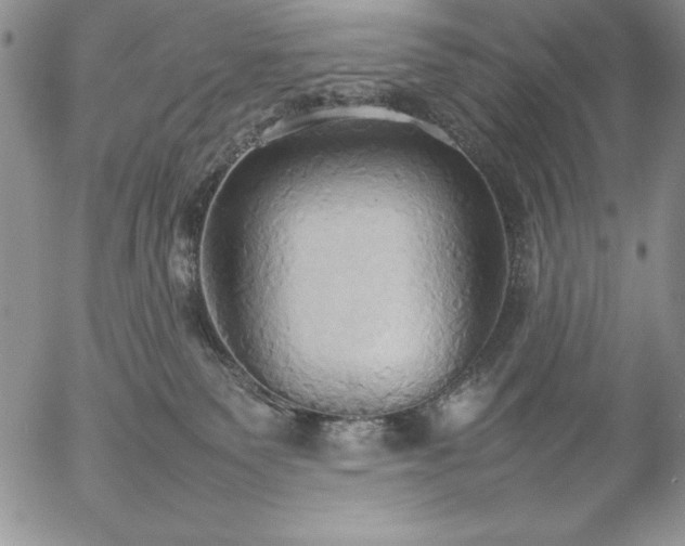 X0000057040135200509091116