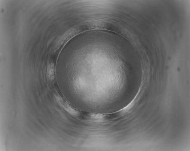 X0000057040144200509091116