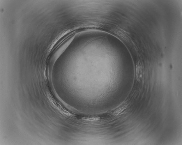 X0000057040156200509091115