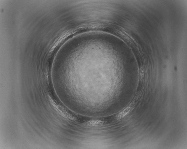 X0000057040158200509091115