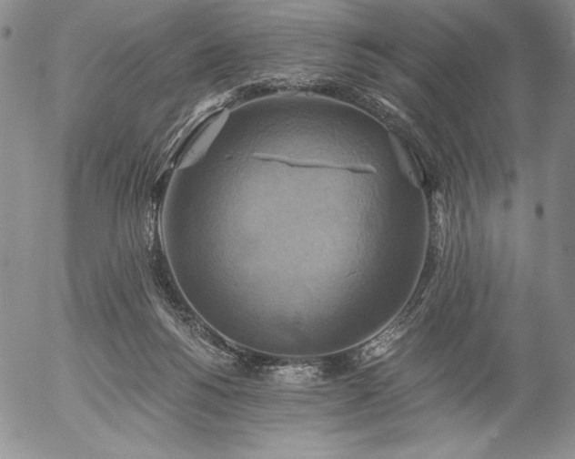 X0000057040168200509091115
