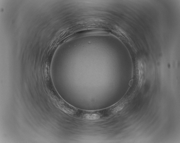 X0000057040169200509091115