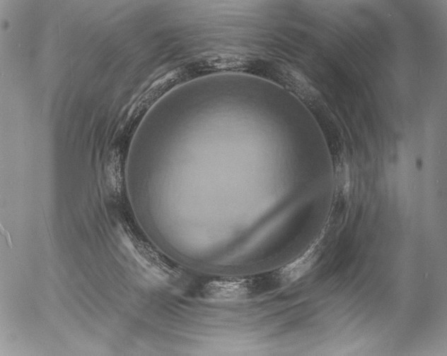 X0000057040170200509091115