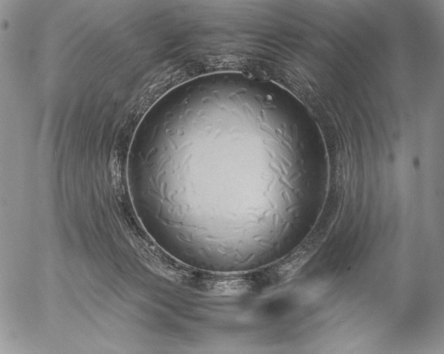 X0000057040173200509091115