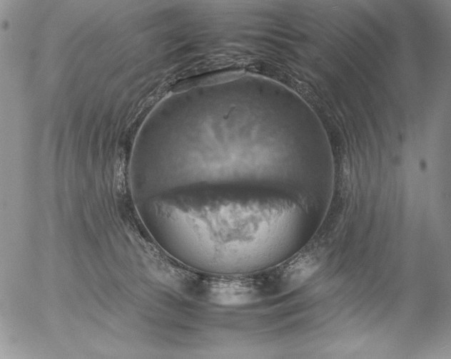 X0000057040177200509091115