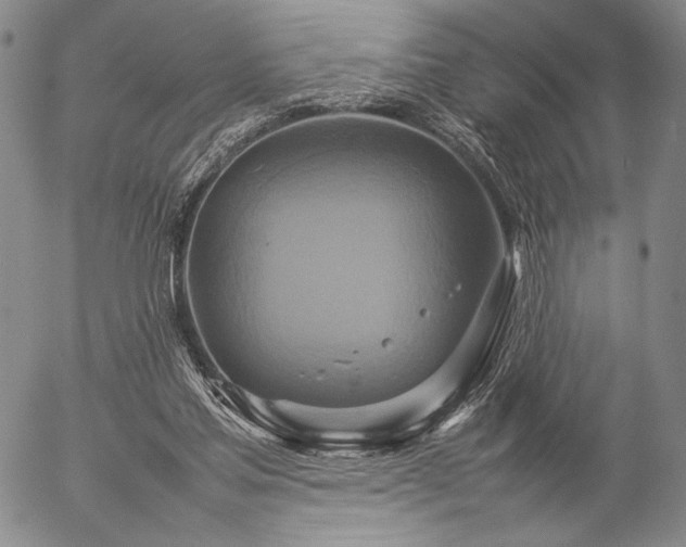 X0000057040205200509091115