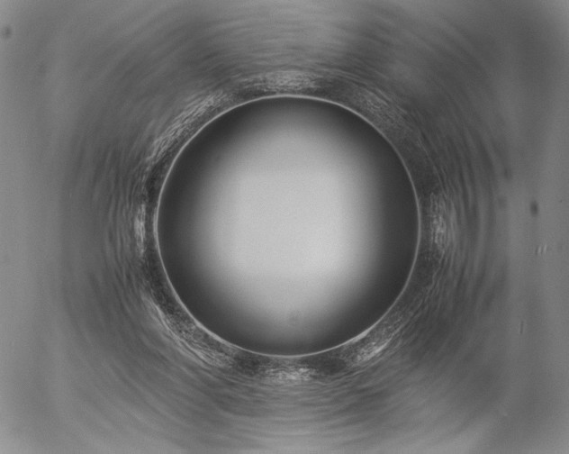 X0000057040206200509091115