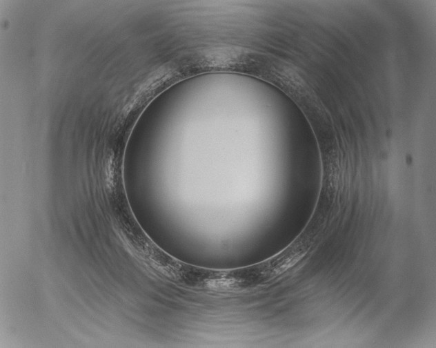 X0000057040216200509091114