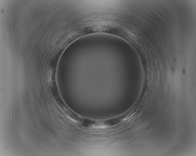 X0000057040219200509091114