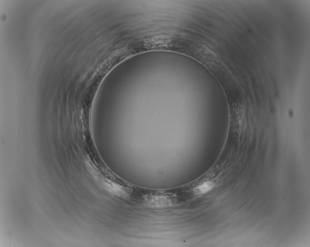 X0000057040224200509091114