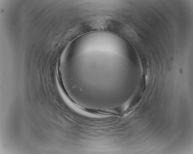 X0000057040229200509091114