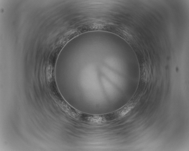 X0000057040230200509091114