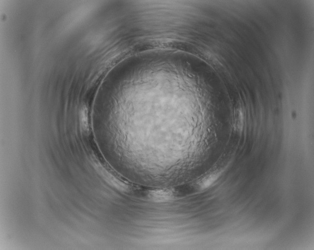 X0000057040238200509091114