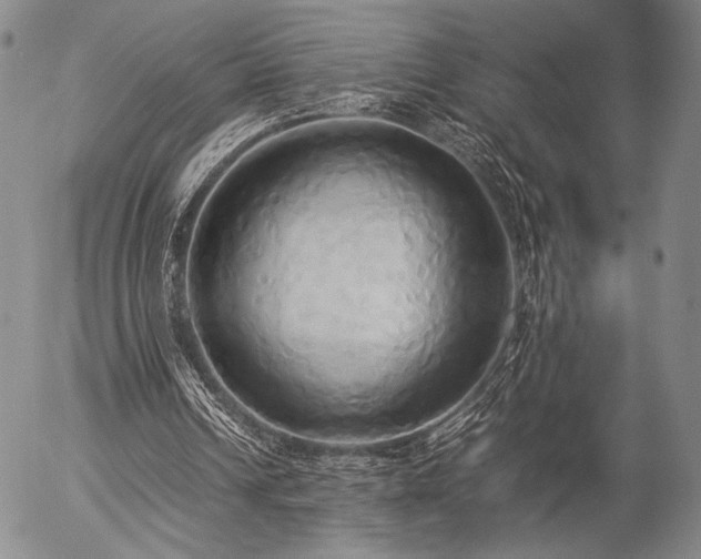 X0000057040242200509091113