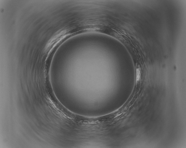 X0000057040243200509091113