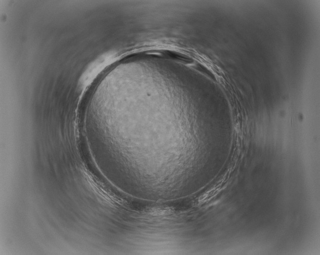 X0000057040248200509091113