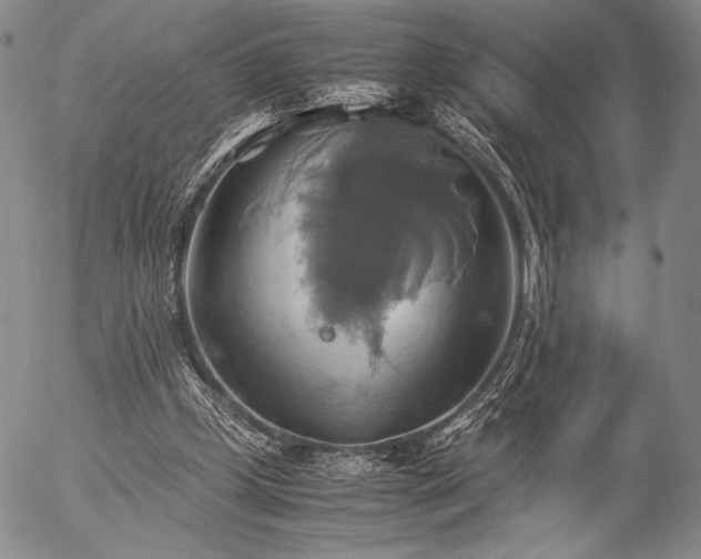 X0000057040249200509091113