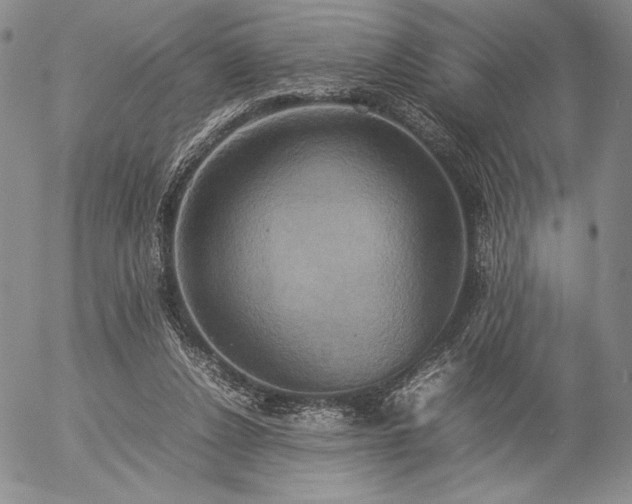X0000057040256200509091113