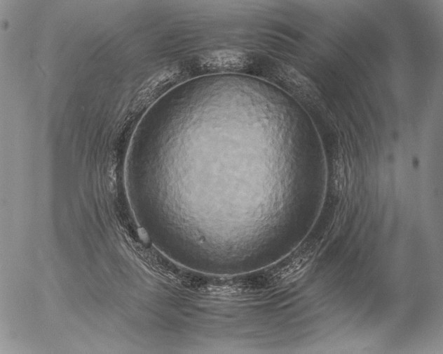 X0000057040259200509091114