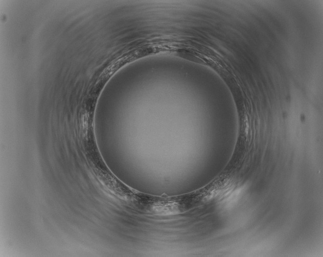 X0000057040271200509091114