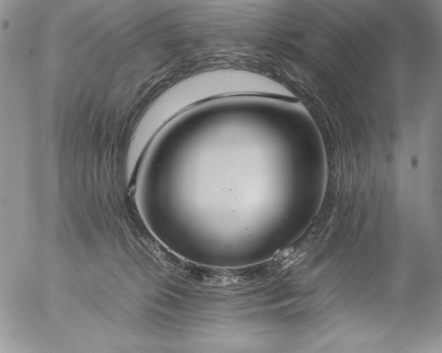 X0000057040276200509091114