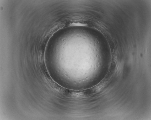 X0000057040283200509091114