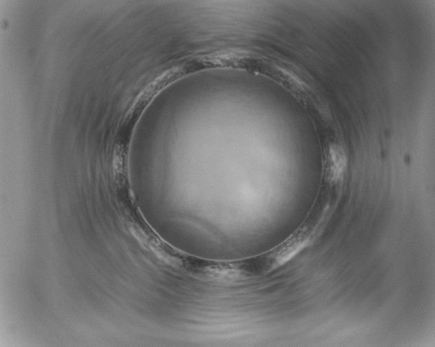 X0000057040284200509091114