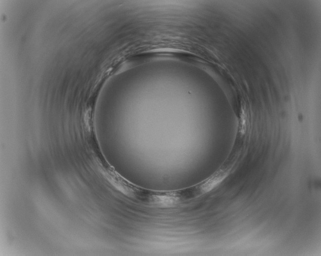 X0000057040286200509091114