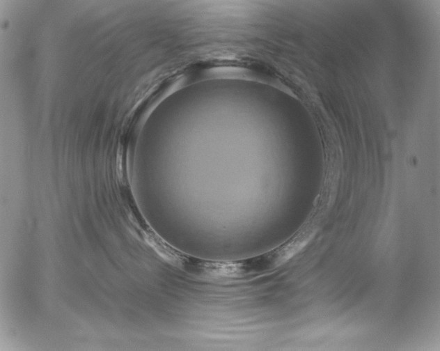 X0000057040288200509091114