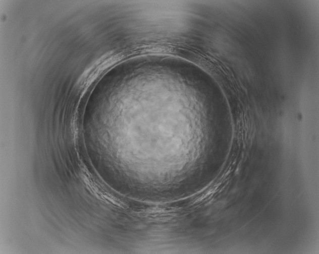 X0000057040290200509091113