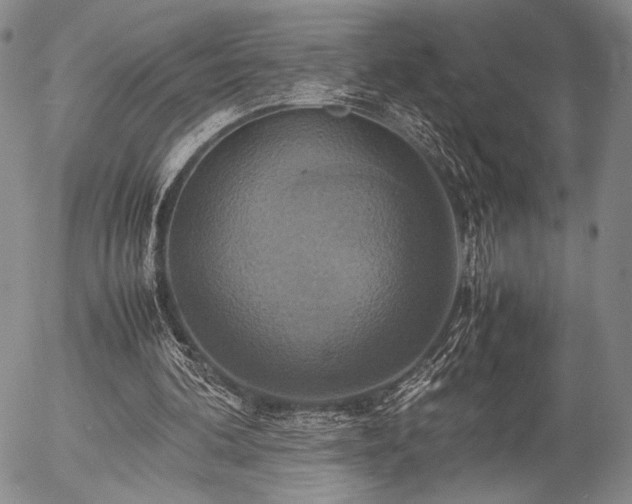 X0000057040292200509091113