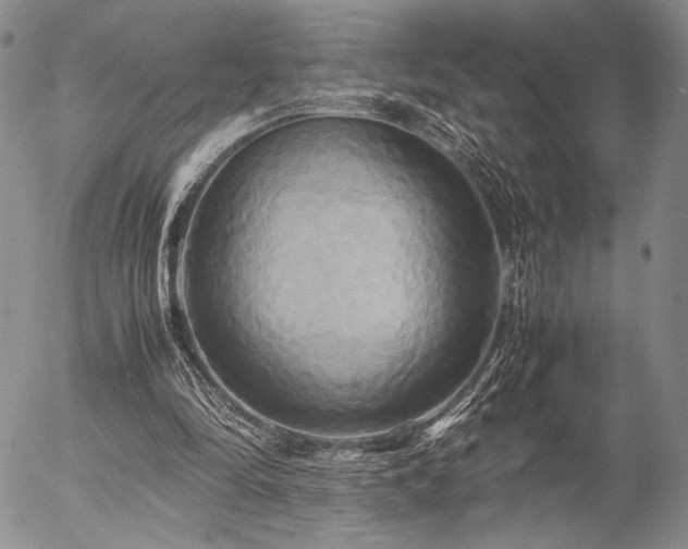X0000057040294200509091113