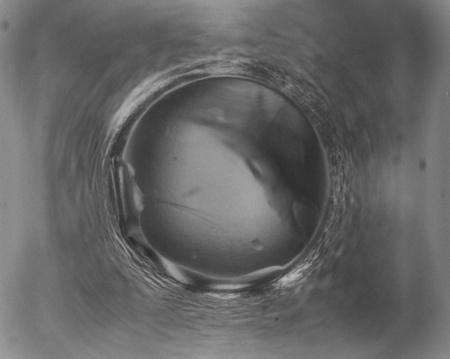 X0000057040295200509091113