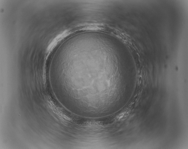X0000057040296200509091113