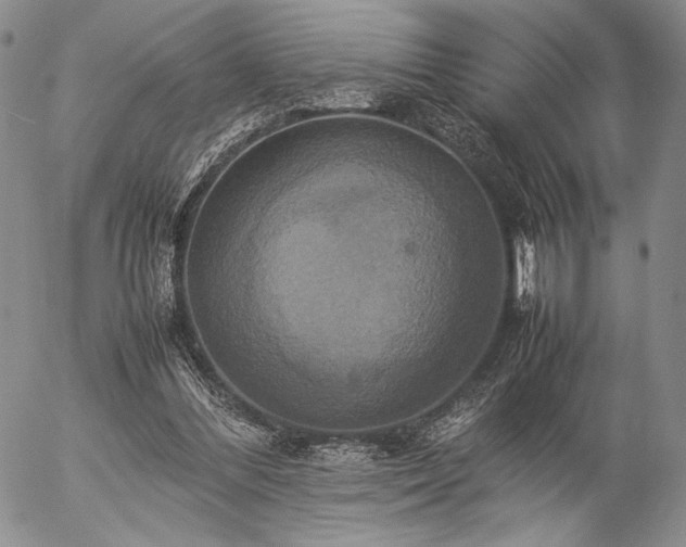 X0000057040300200509091113