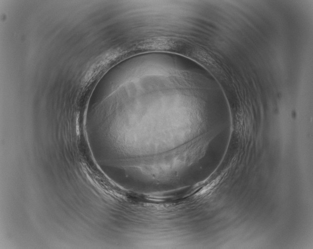 X0000057040302200509091113