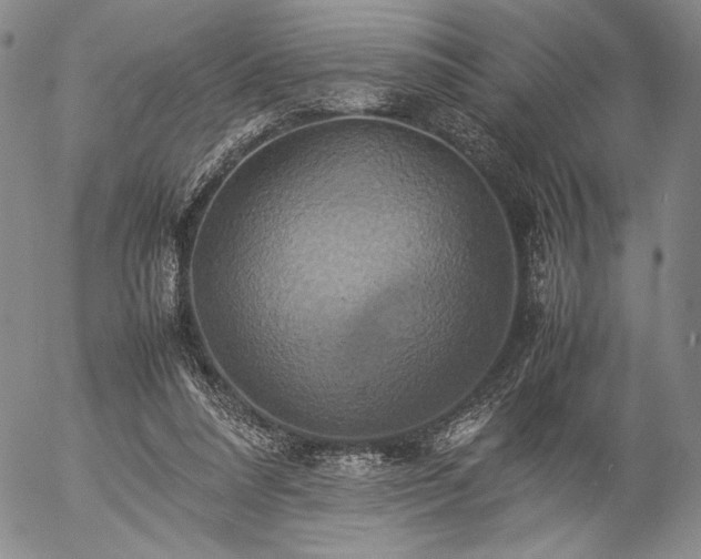 X0000057040304200509091113