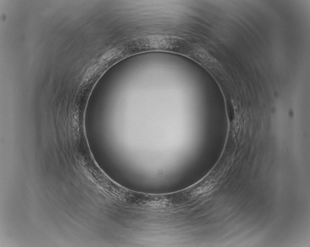 X0000057040306200509091113