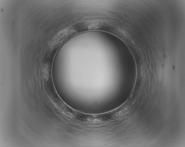 X0000057040311200509091113