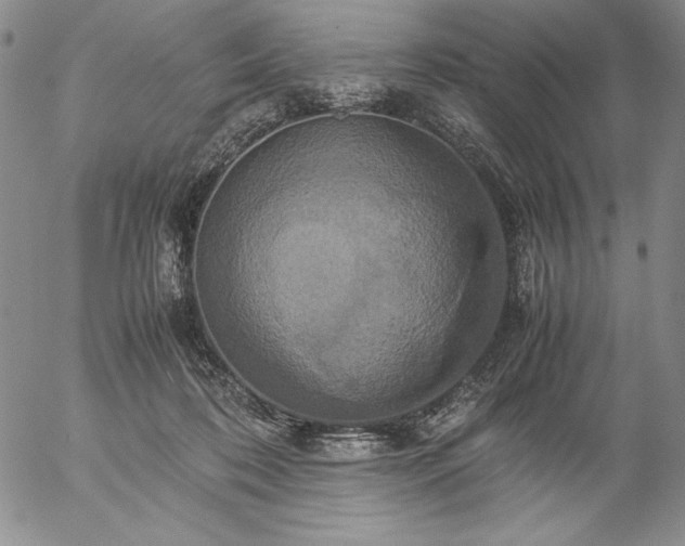 X0000057040316200509091113